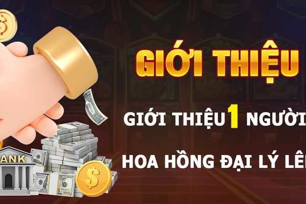 Hợp tác liên kết mb66