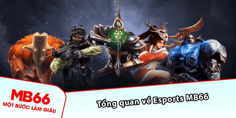 Tổng quan về Esports MB66